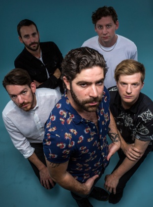 Foals.