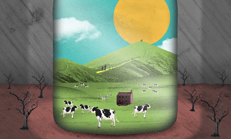 Nate Kitch illustration on the rural economy