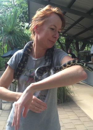 Snakes at Bungalow Bay 