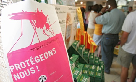 mosquito dengue chikungunya Reunion island