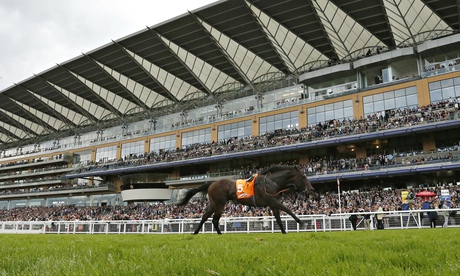 Speculative Bid, the 4-1 favourite, runs up past the stands on at Ascot 
