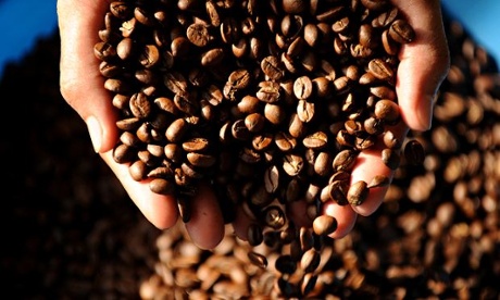 Hands holding roasted coffee beans
