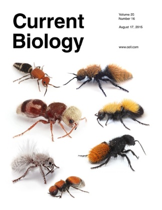 Current Biology Cover