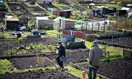 Allotments