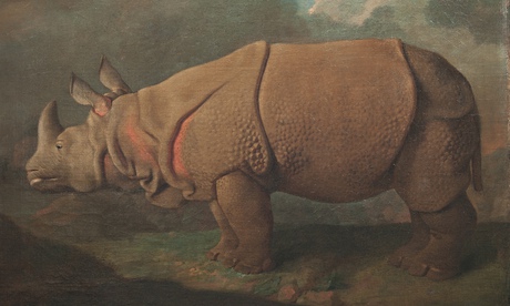 Stubbs painting of rhinocerous