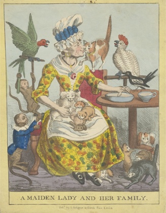 Parrots were particularly prized.