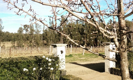 Muse kitchen is located in the Keith Tulloch winery.