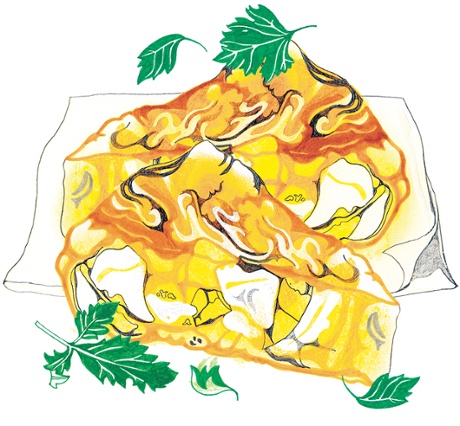 A tortilla illustration