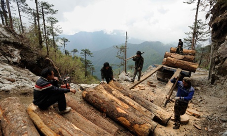 Workers load Illegally logged timber onto a truck in Sawlaw, northern Kachin State, Burma.