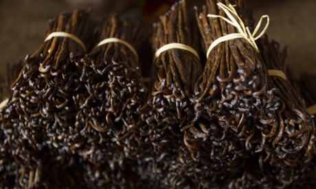 Madagascar vanilla beans