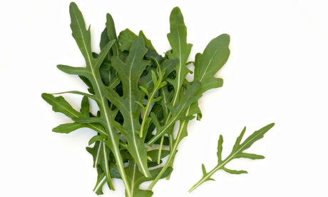 Bitter leaves … rocket. Photograph: Rosemary Calvert/Getty Images