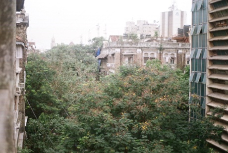 Trees in Mumbai