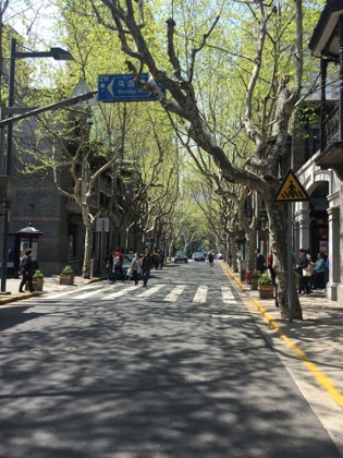 Shanghai road with trees