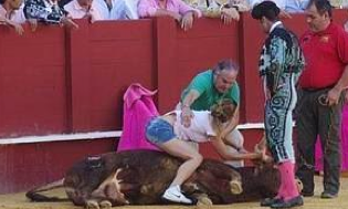 An activist comforts a dying bull at a bullfight