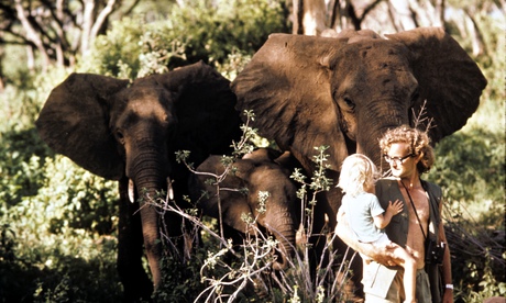 Iain Douglas-Hamilton and his daughter Saba when she was a young child
