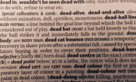 Dead cat bounce