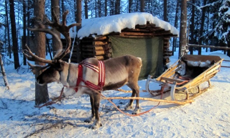 BBC4 viewers will enter a winter wonderland on a sleigh ride in Lapland
