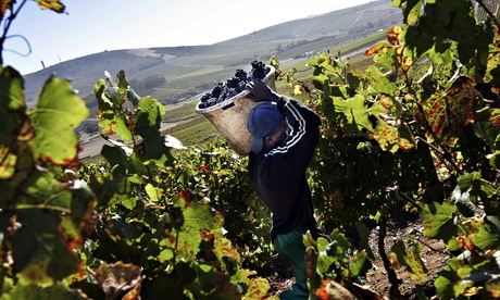 A South African worker from Maastricht 