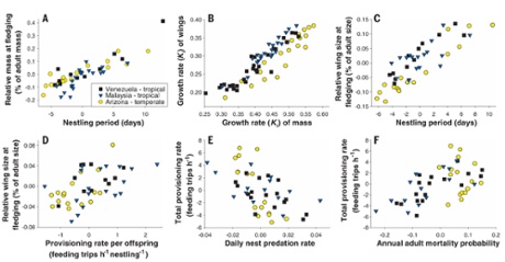 Figure4/Thomas E Martin/Science 2015