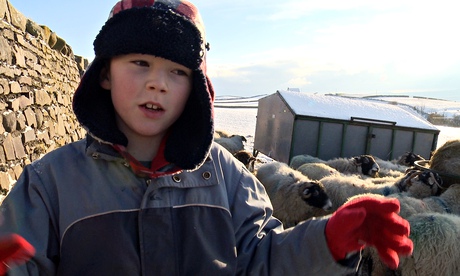 Addicted to Sheep: captures the beauty and bleakness of the environment.