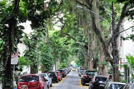 bucolic street in Gávea