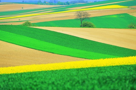 How science affects public policy?