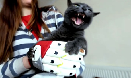 Psycho Pussies: When Cats Attack: fur flying over the title? 