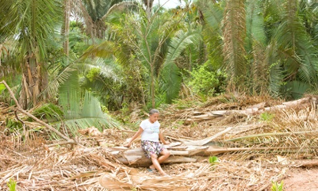 Eunice da Conceição Costa where babassu have been cut down in order to widen a road in Maranhao.