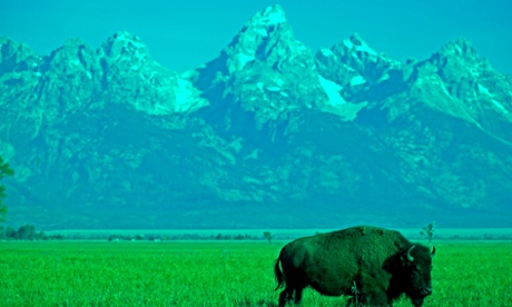 Jackson Hole, popular with bison and central bankers.