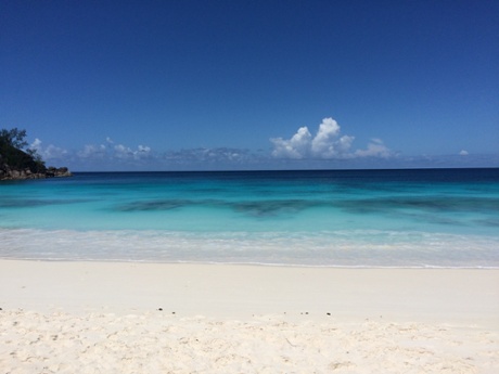 ‘My desk is now a picnic table on the best beach on the island’ ... Charlotte Orba’s ‘office’ in the Seychelles.