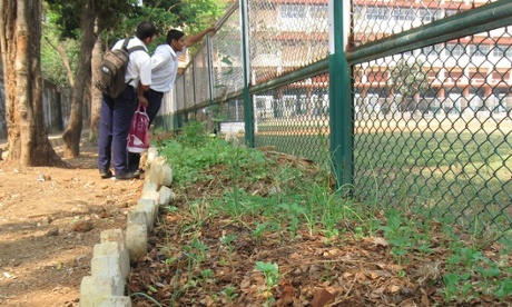Garden beds at Don Bosco school in Mumbai, India