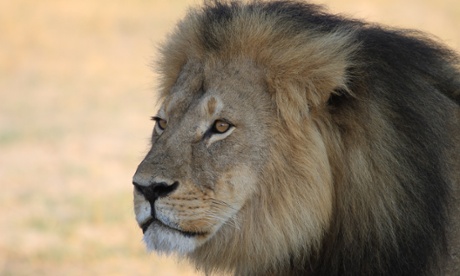 Cecil the lion