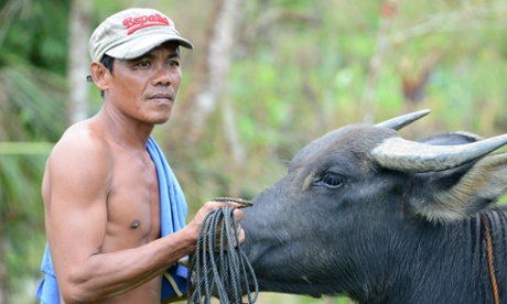 In rural villages many people rely on livestock for food and work so it can be vital to protect these animals in disasters. 