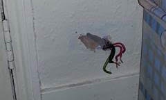 Live exposed wiring found by a student in their privately rented flat.