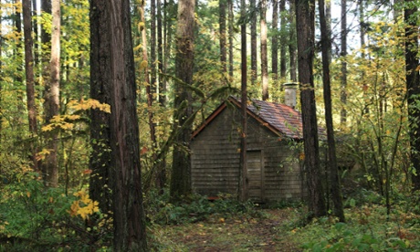 An old cabin in woods