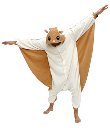 The Kigu squirrel <a href=