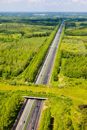 A multi-lane road with a bridge over it which merges with the green landscape