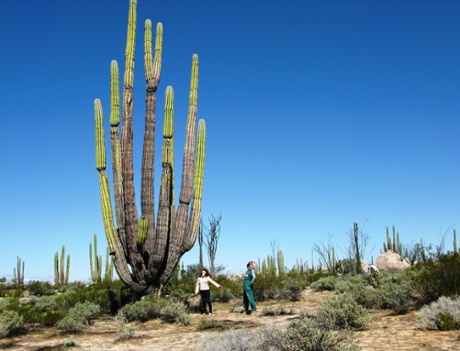Lois and her husband Austin Vince near Guerrero Negro.