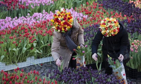 Dutch National Tulip Day in in Amsterdam