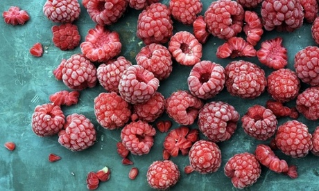 Food styling and photography masterclass.