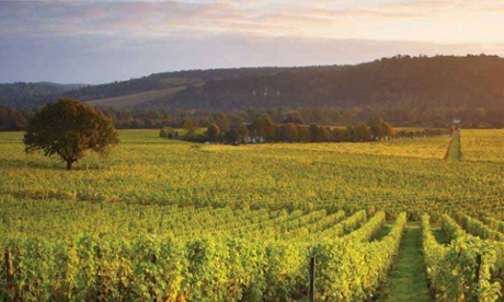 Denbies Wine Estate