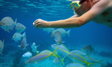 Snorkelling at the Bay of Pigs, Cuba
