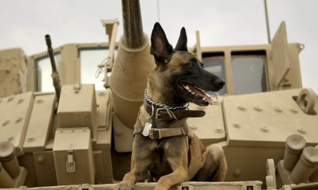 Max in Afghanistan