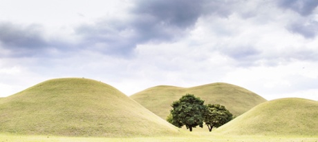 Trees in Gyeongju’s Tumuli Park.