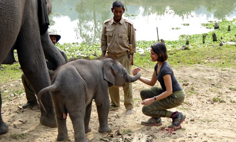 India: Nature's Wonderland