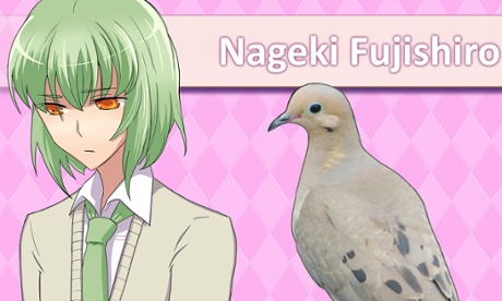 Hatoful Boyfriend app