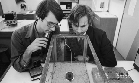Richard Dawkins at Oxford in 1976, pictured right, studying insect behaviour with student Ted Burk.