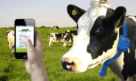 The Dairymaster MooMonitor.