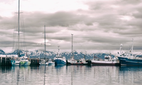 Fishing boats at anchor.