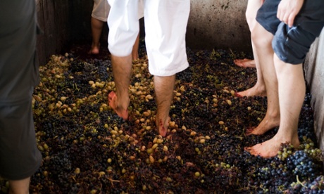 Treading grapes